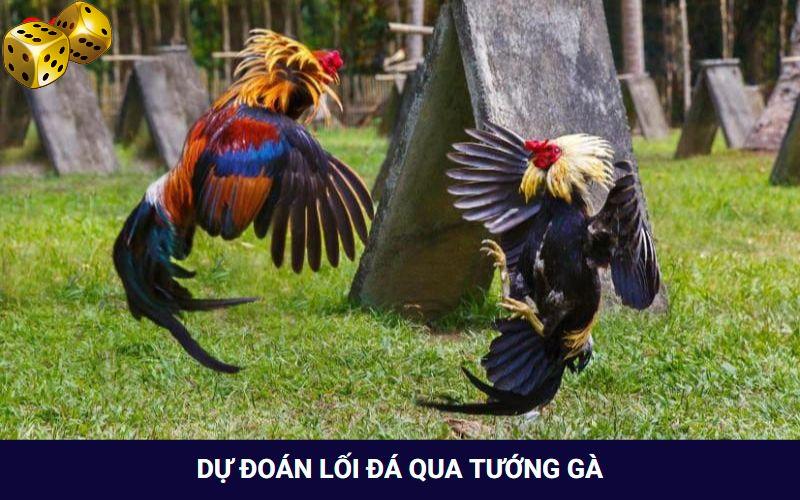 Người chơi có thể dự đoán lối đá của gà qua hình dáng