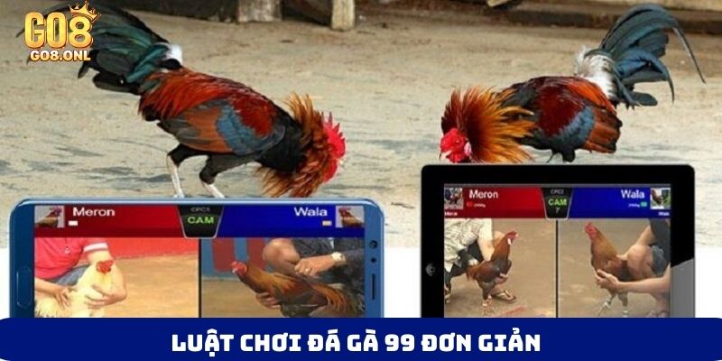 Luật chơi đá gà 99 đơn giản